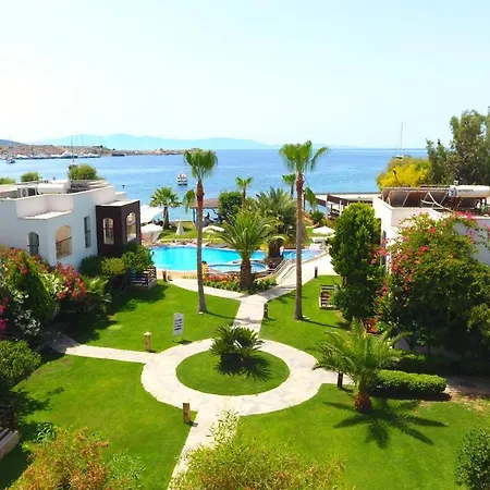 Costa Luvi Bodrum 4* Гумбет