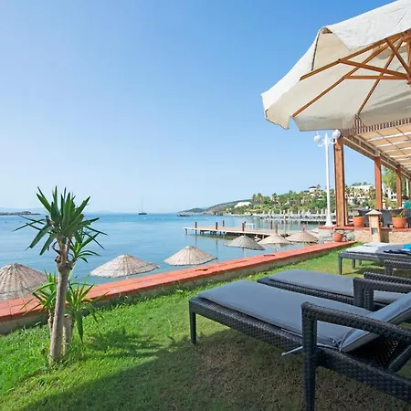 Отель Costa Luvi Bodrum 4*
