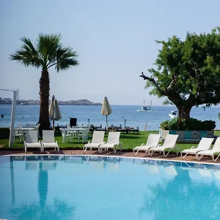Отель Costa Luvi Bodrum 4*